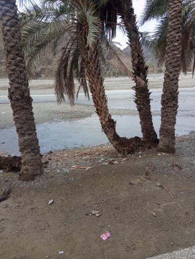 عکس کهیری
