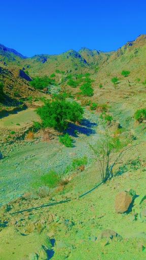 عکس کهیری