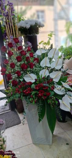 عکس گلفروشی چیچکچی