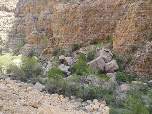 عکس رستاق