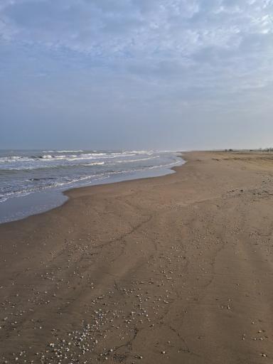 عکس کرفون