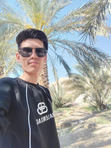 عکس پیاده رو نخلستان