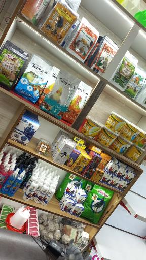 عکس پت‌شاپ امیر