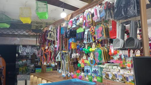 عکس پت‌شاپ امیر