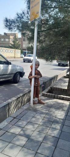 عکس  آیت الله مشکینی 12