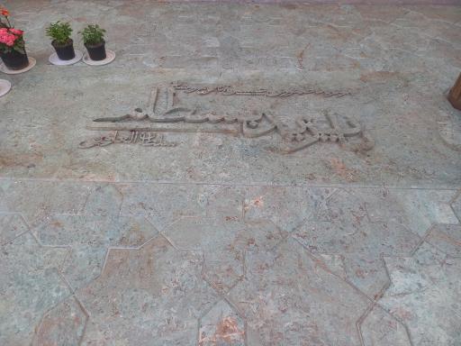 عکس شبستان  امامزاده  محمد