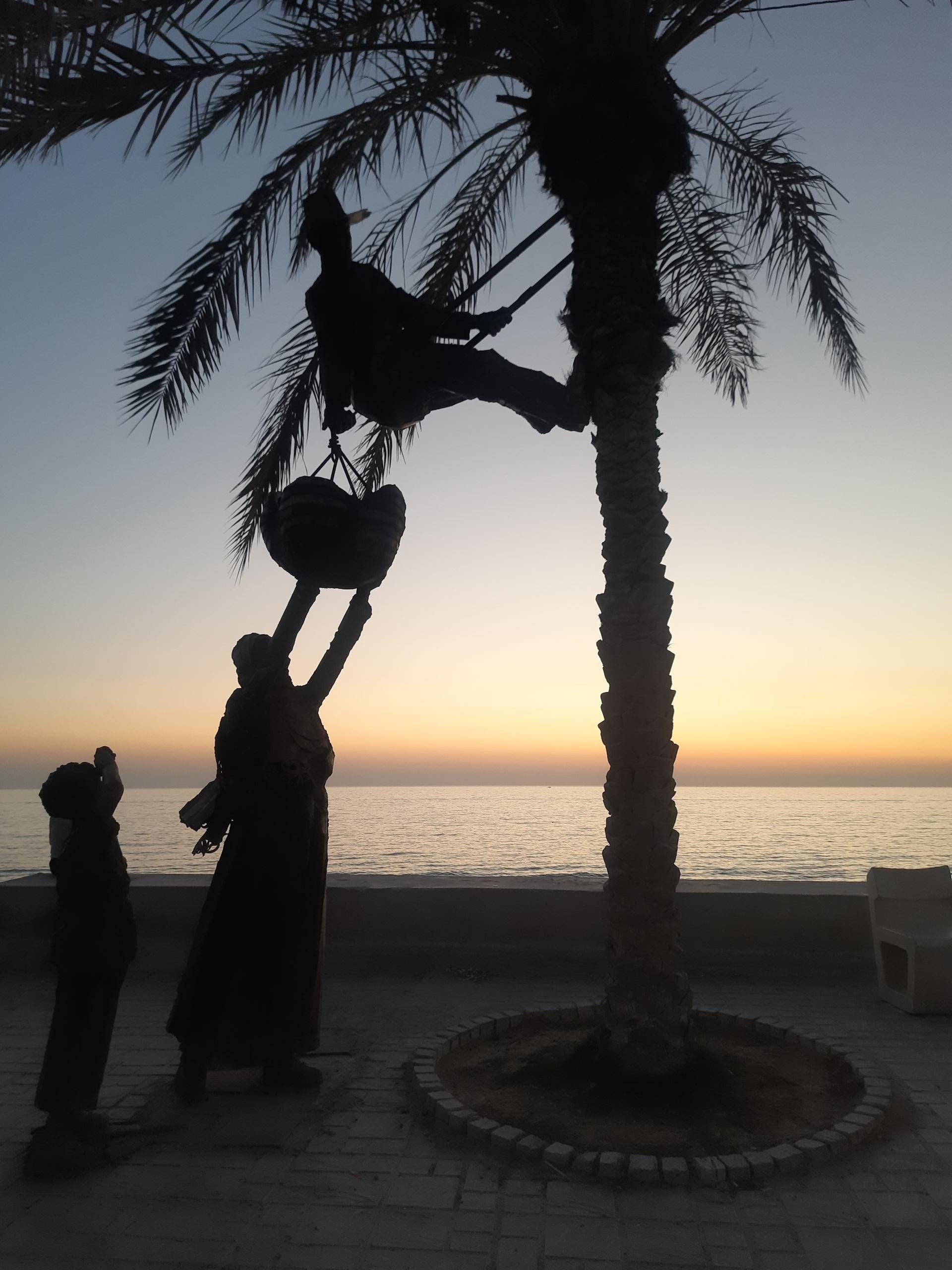 عکس پیاده رو نخلستان