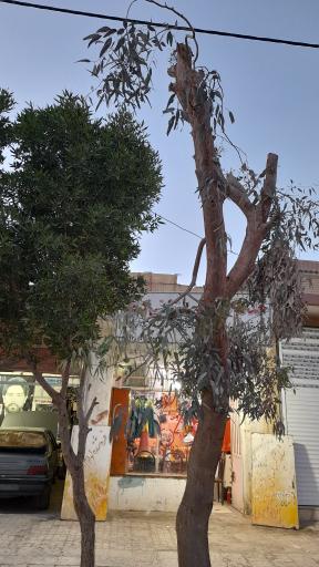 عکس فروشگاه تجهیزات آتش نشانی کوثر