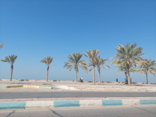 عکس پیاده رو نخلستان