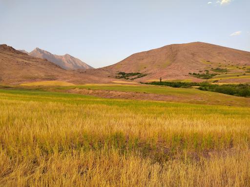 عکس محمودآباد ویرانه