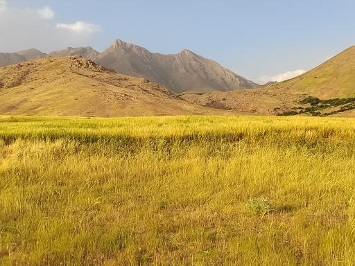 عکس محمودآباد ویرانه
