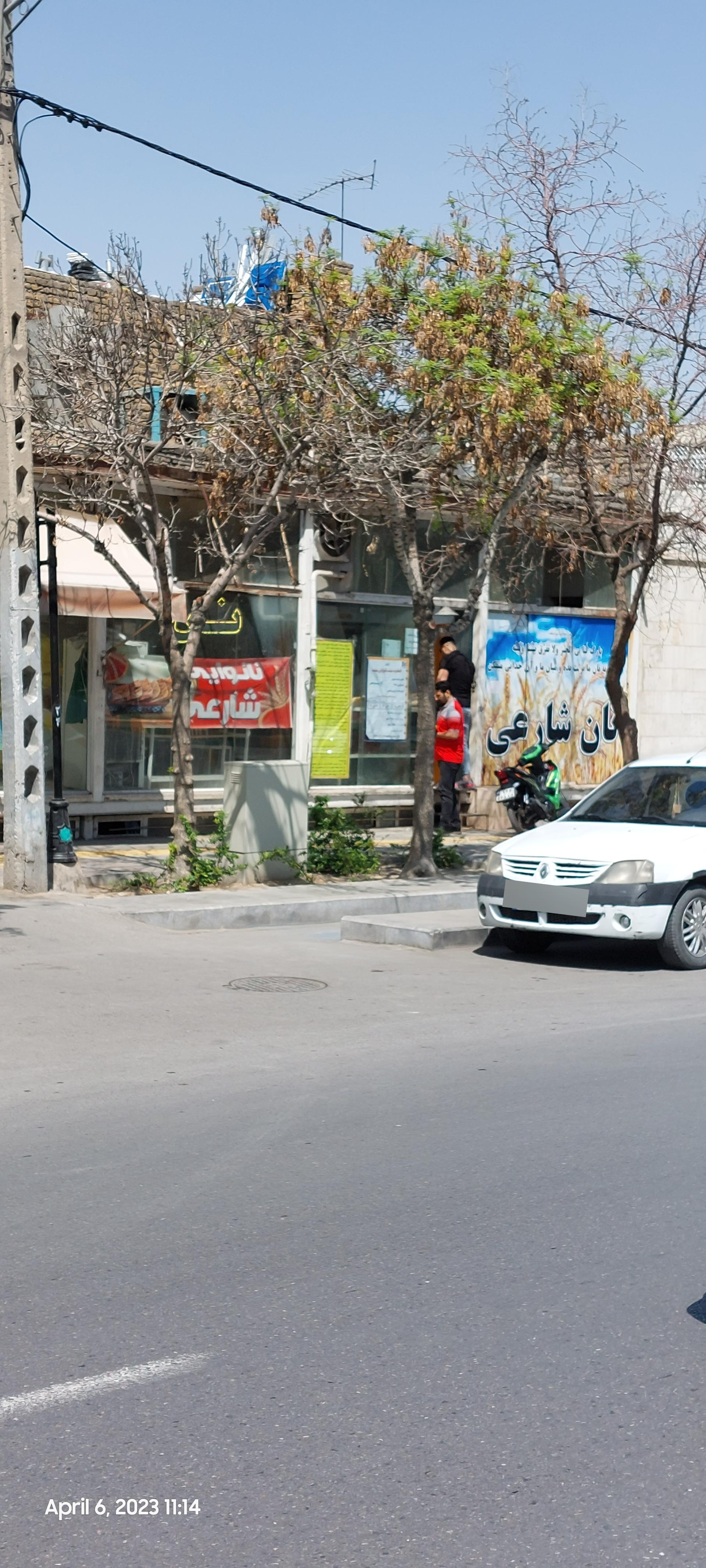 عکس نان تافتون