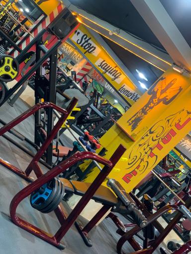 عکس باشگاه بدنسازی ستاره پارس