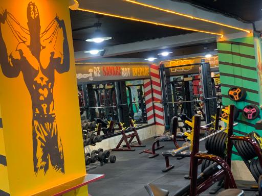 عکس باشگاه بدنسازی ستاره پارس