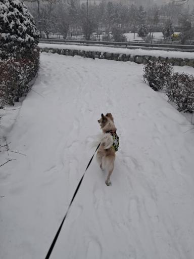 عکس بوستان نیایش