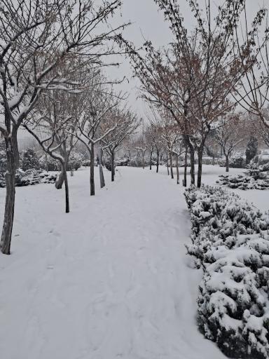 عکس بوستان نیایش