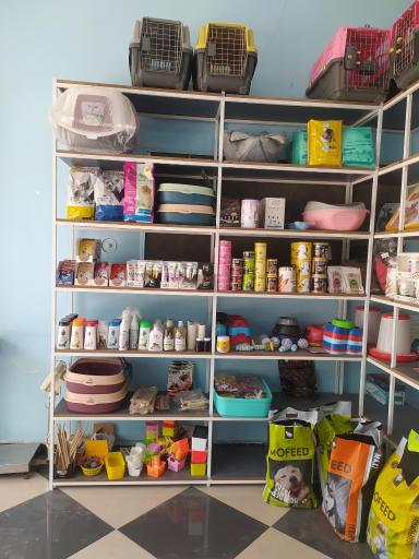 عکس کلینیک دامپزشکی و پت شاپ آرتا (دکتر لامعی)