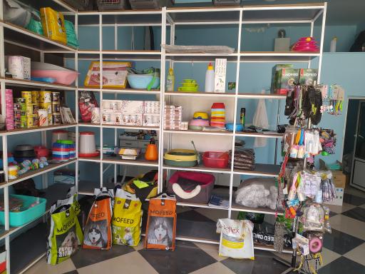 عکس کلینیک دامپزشکی و پت شاپ آرتا (دکتر لامعی)