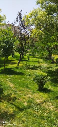 عکس پارک بوشلو