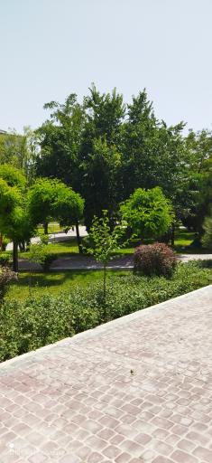 عکس پارک بوشلو