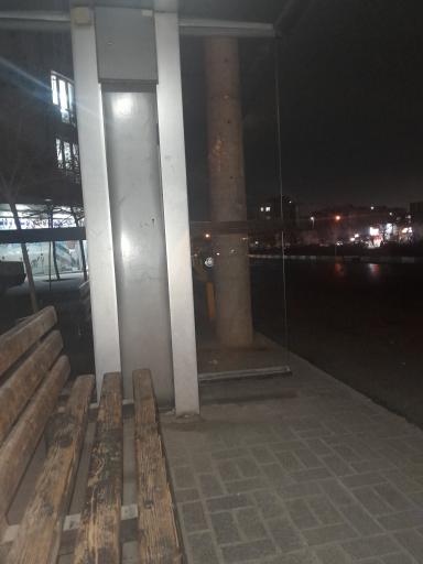 عکس  صبا غربی 1