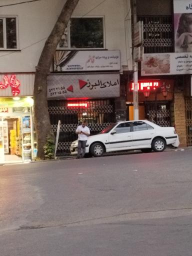 عکس مشاور املاک البرز