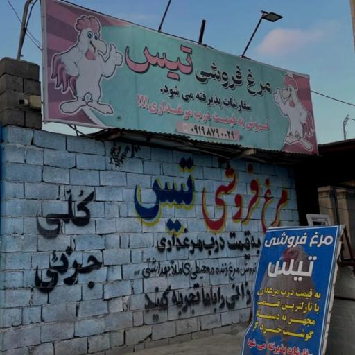 عکس مرغ فروشی تیس