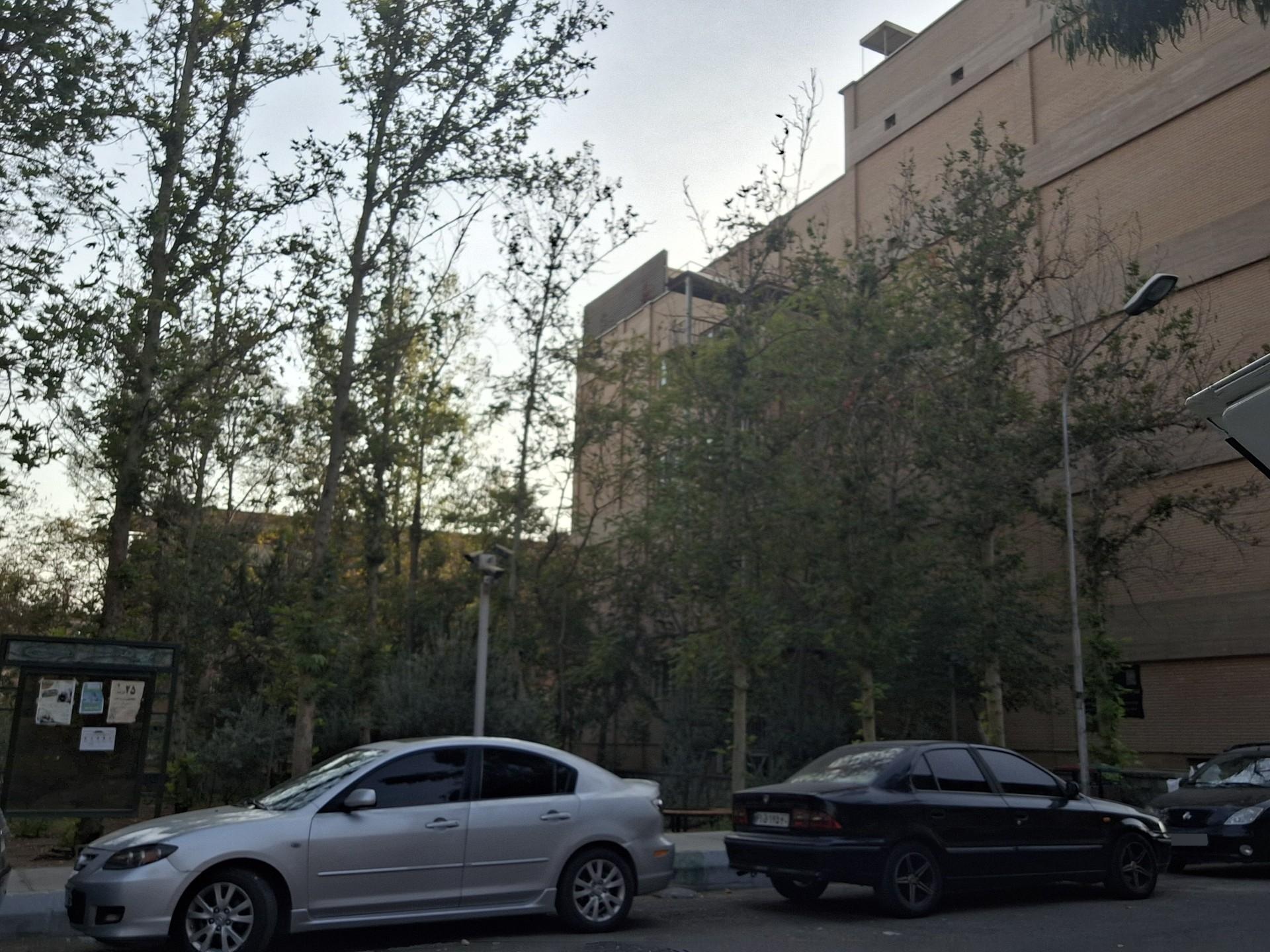عکس استخر دانشگاه تربیت مدرس