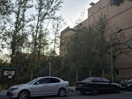 عکس استخر دانشگاه تربیت مدرس