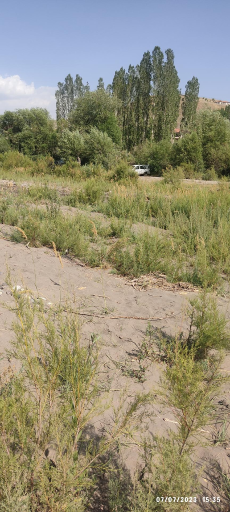 عکس رودخانه طالقان شاهرود