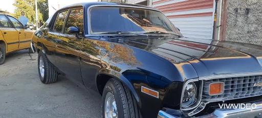 عکس شیشه دودی معجزه