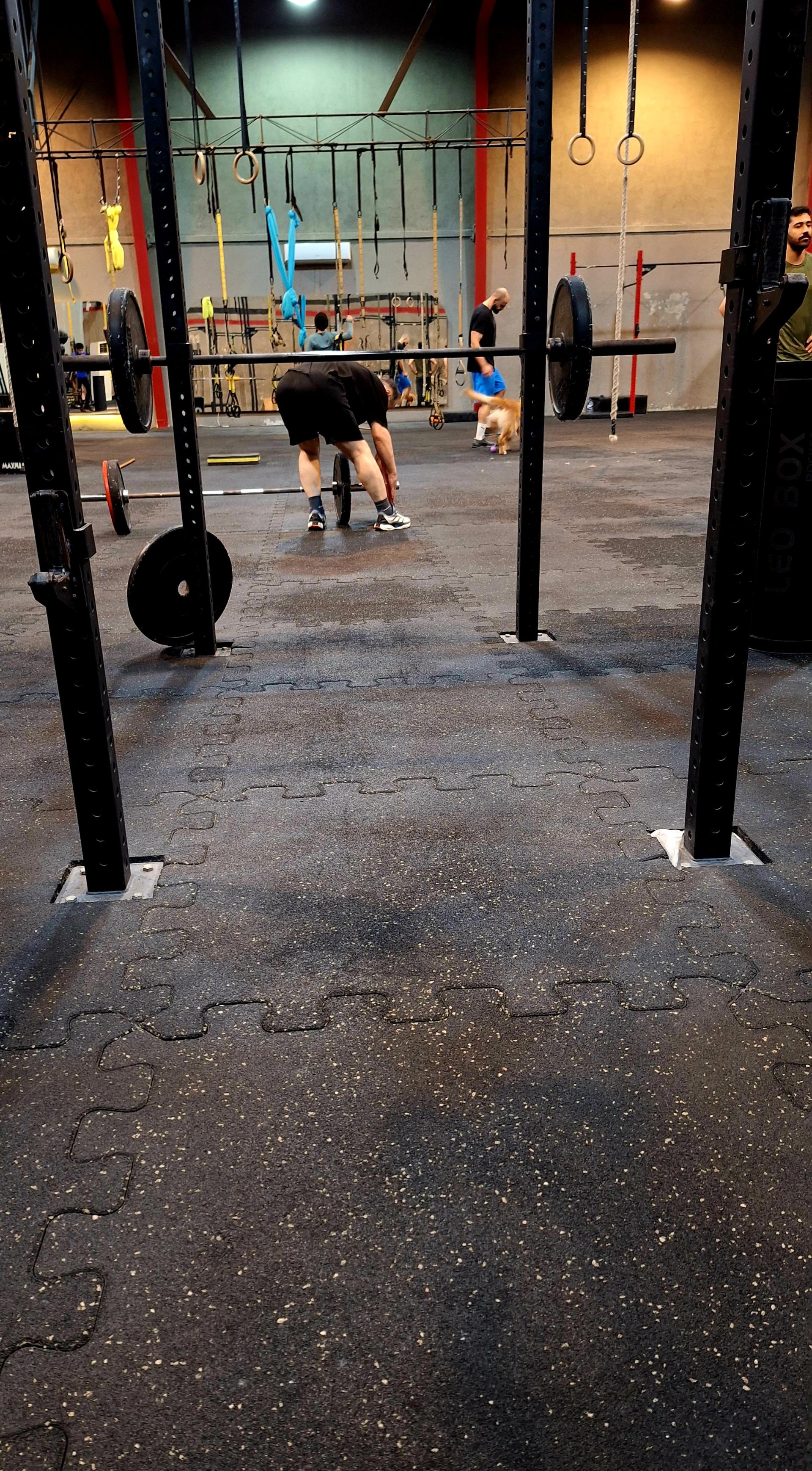 عکس باشگاه لئو باکس