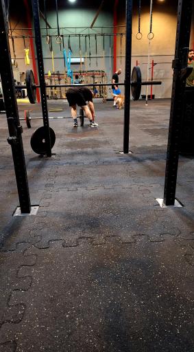 عکس باشگاه لئو باکس