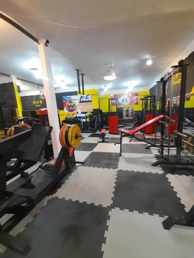 عکس باشگاه بدنسازی کوروش