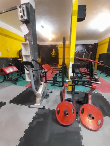 عکس باشگاه بدنسازی کوروش