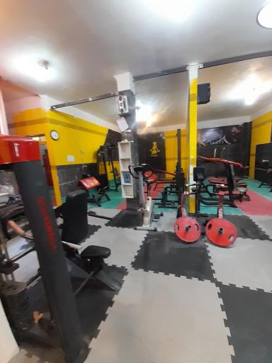 عکس باشگاه بدنسازی کوروش