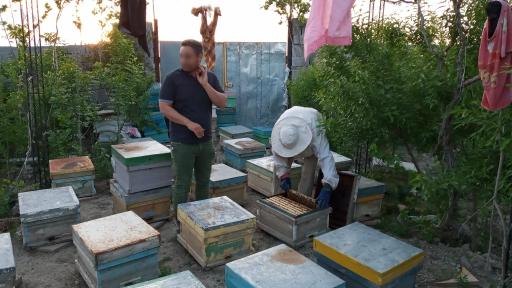 عکس عسل مروارید ارگانیک