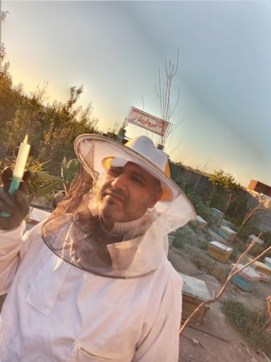 عکس عسل مروارید ارگانیک