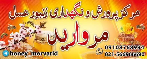 عکس عسل مروارید ارگانیک