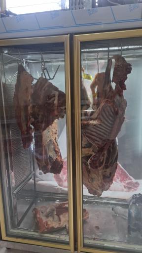 عکس پروتئینی گوشتینه