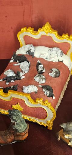 عکس فرهنگان فرشته