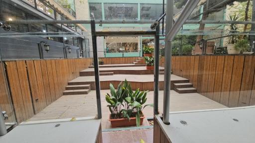 عکس فرهنگان فرشته