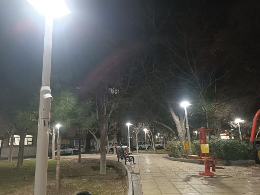 عکس بوستان میخک