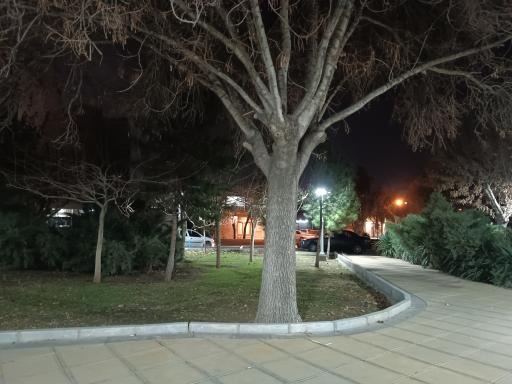 عکس بوستان میخک