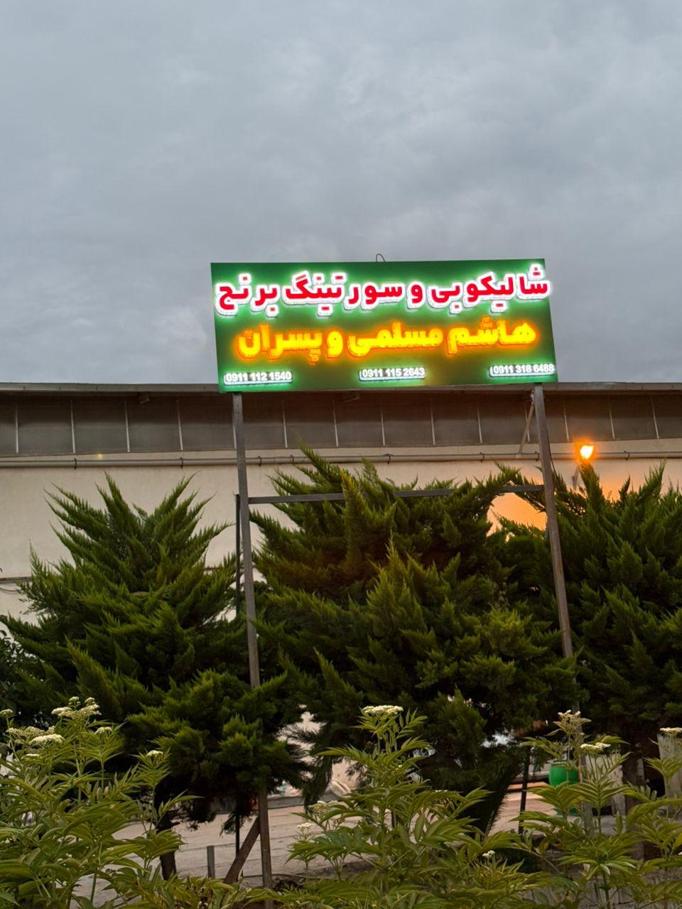 عکس شالیکوبی هاشم مسلمی
