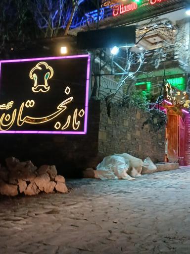 عکس نارنجستان قلات