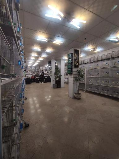 عکس بورس قناری تهران