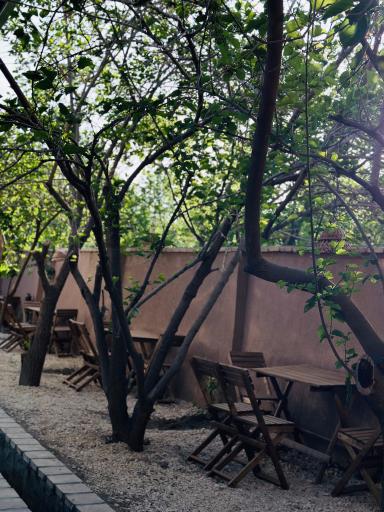 عکس باغ رستوران الهیه 