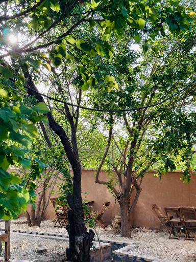 عکس باغ رستوران الهیه 