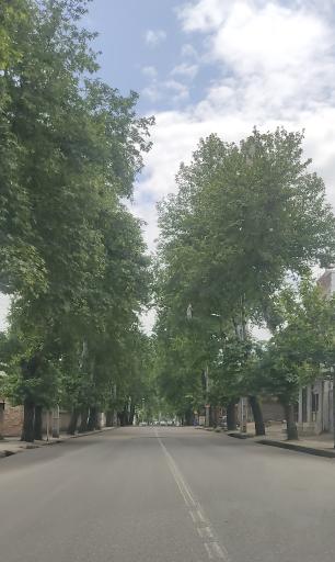 عکس نوده خاندوز